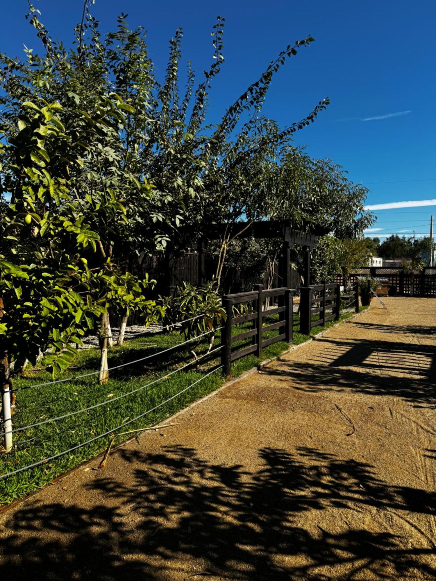 Estancita Elena Hotel Valle de Guadalupe Buitenkant foto